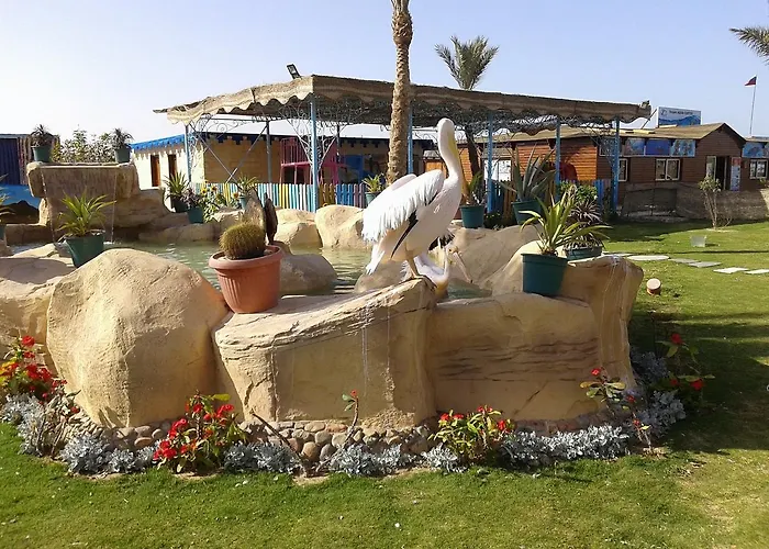 Resort Hawaii Riviera Club Aqua Park - Families And Couples Only