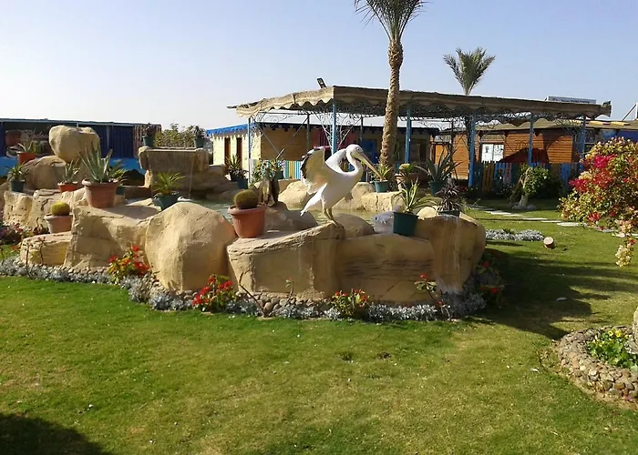 Hawaii Riviera Club Aqua Park - Families And Couples Only Hurgada